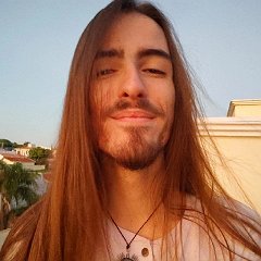 Gabriel Silva Fontes